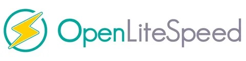 OpenLiteSpeed: Скорость, Гибкость и Простота для Вашего Веб-сайта