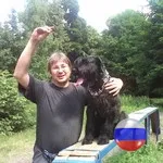 Кинолог: профессиональная дрессировка собак